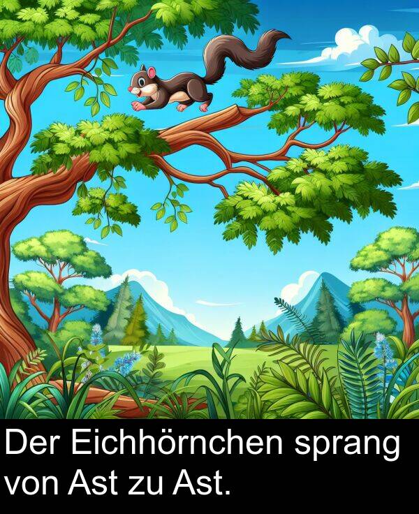 Eichhörnchen: Der Eichhörnchen sprang von Ast zu Ast.