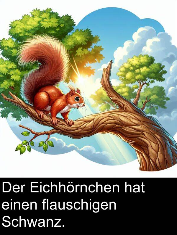 Eichhörnchen: Der Eichhörnchen hat einen flauschigen Schwanz.