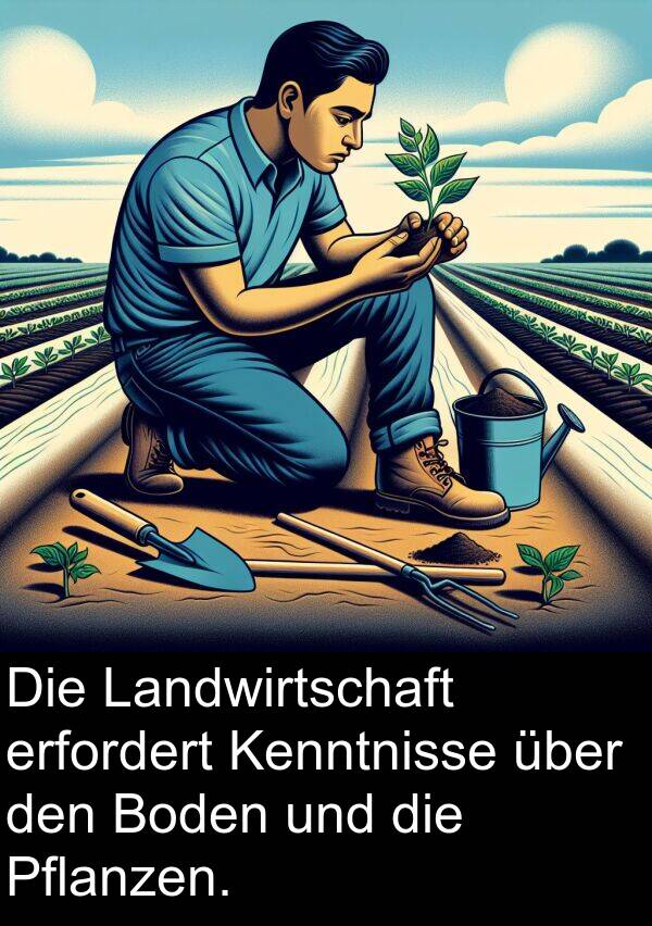 Kenntnisse: Die Landwirtschaft erfordert Kenntnisse über den Boden und die Pflanzen.