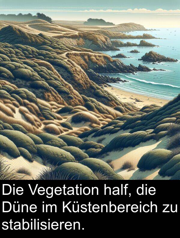 Küstenbereich: Die Vegetation half, die Düne im Küstenbereich zu stabilisieren.