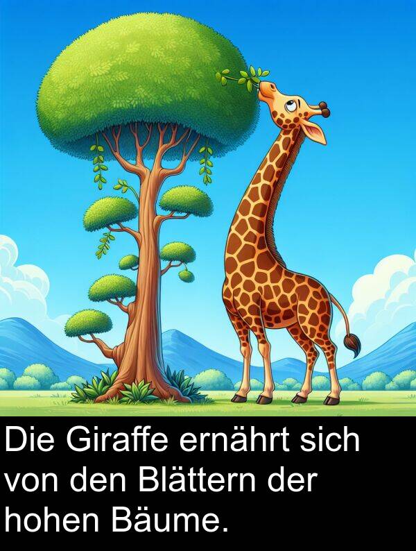 sich: Die Giraffe ernährt sich von den Blättern der hohen Bäume.