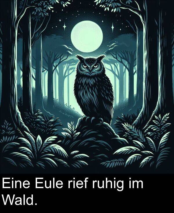 Eine: Eine Eule rief ruhig im Wald.