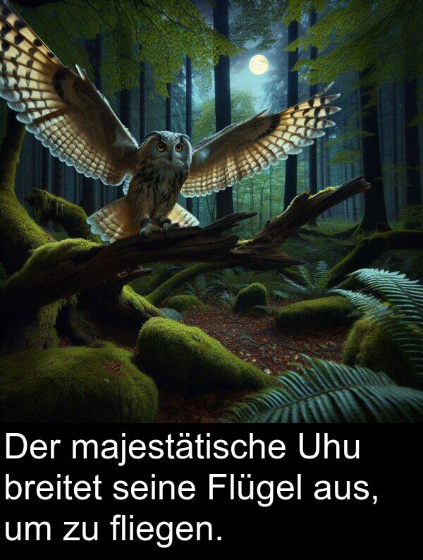 fliegen: Der majestätische Uhu breitet seine Flügel aus, um zu fliegen.