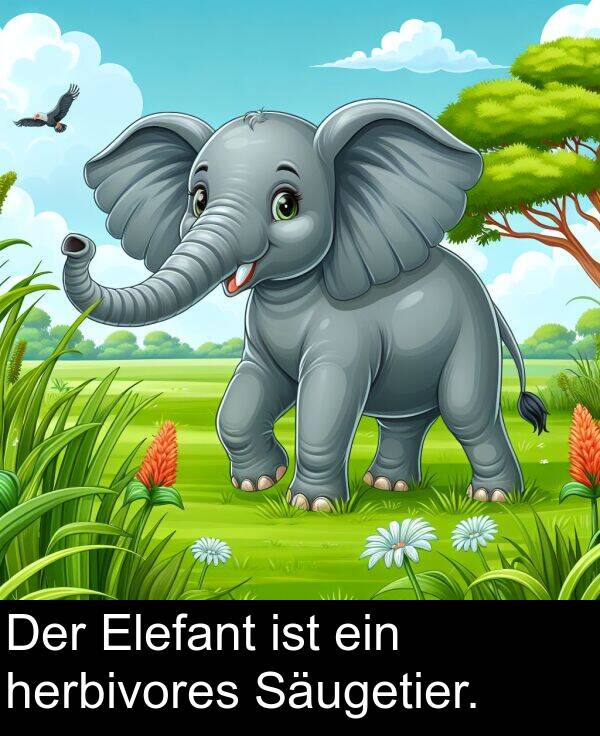 ein: Der Elefant ist ein herbivores Säugetier.