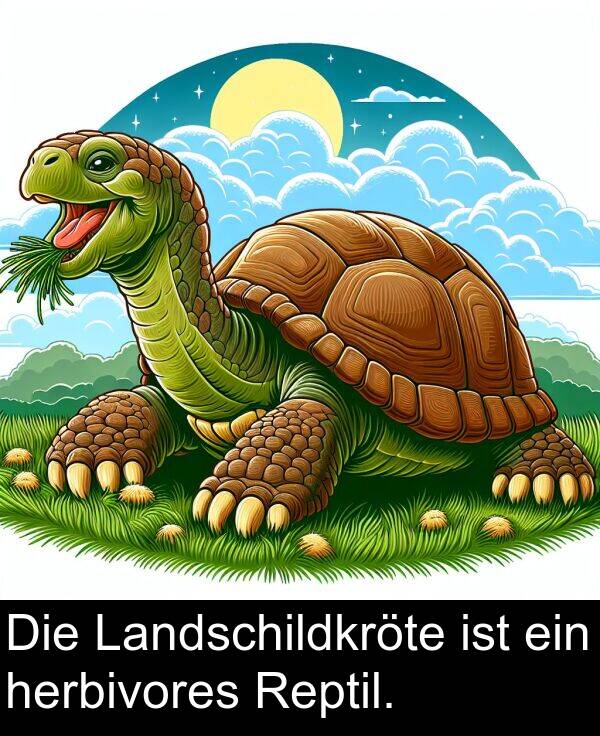 ein: Die Landschildkröte ist ein herbivores Reptil.