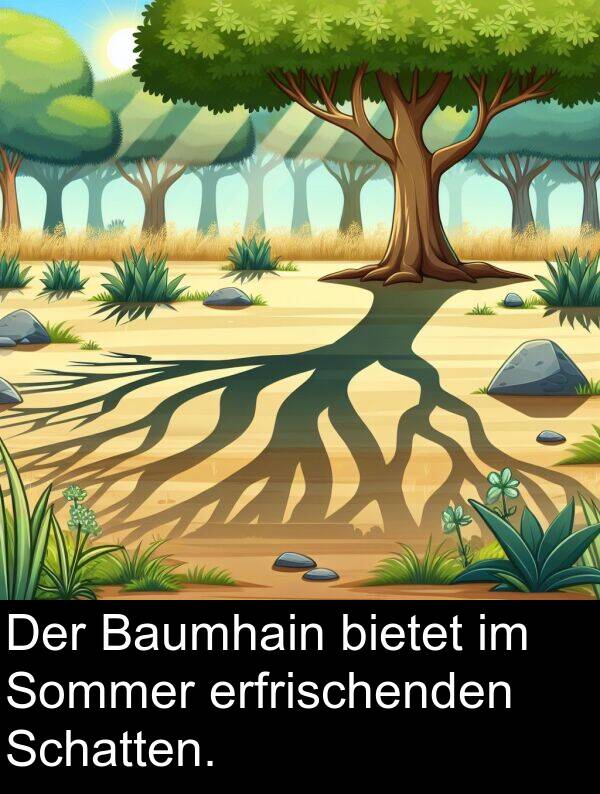 Schatten: Der Baumhain bietet im Sommer erfrischenden Schatten.