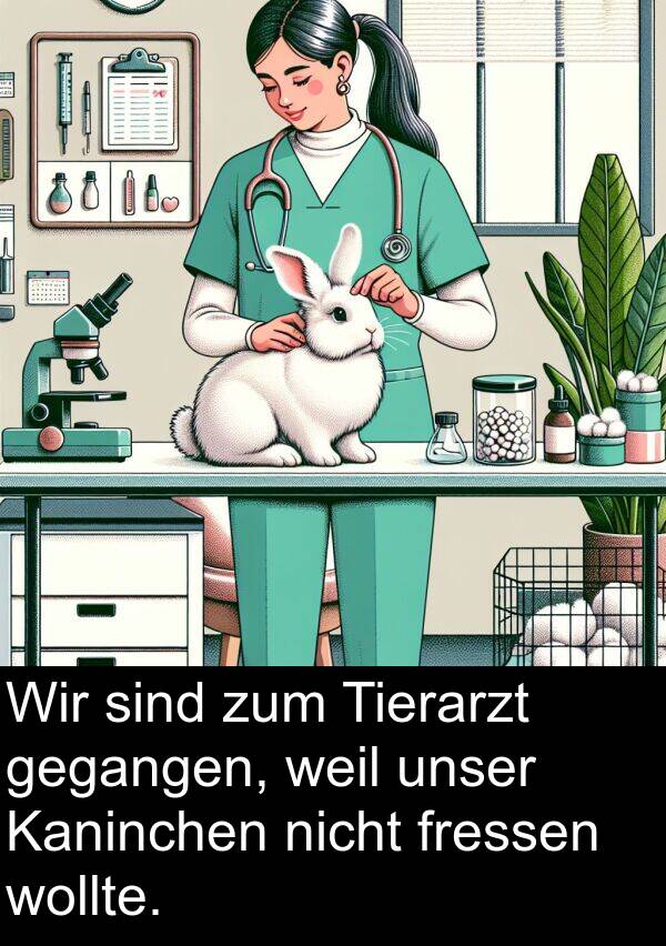 fressen: Wir sind zum Tierarzt gegangen, weil unser Kaninchen nicht fressen wollte.