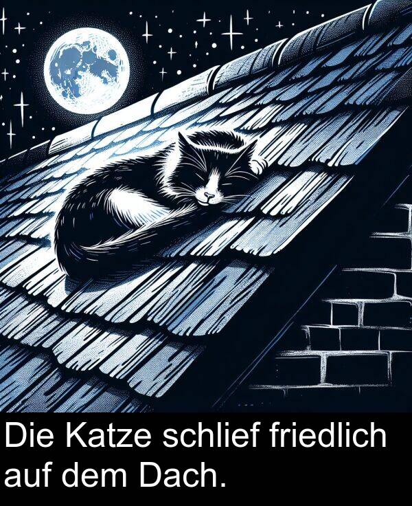 Katze: Die Katze schlief friedlich auf dem Dach.