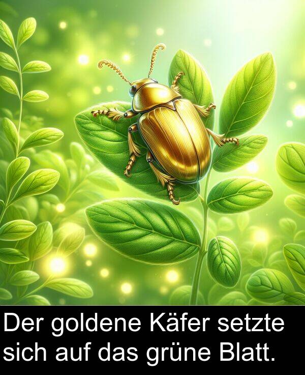 goldene: Der goldene Käfer setzte sich auf das grüne Blatt.