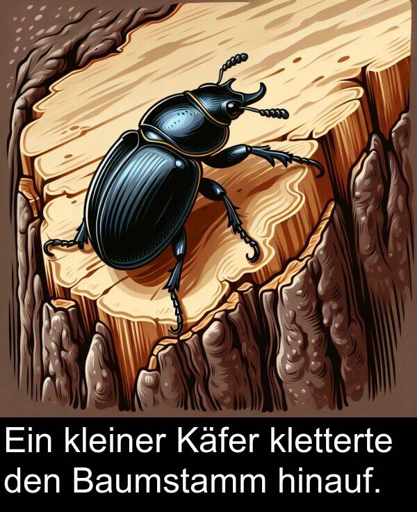 Käfer: Ein kleiner Käfer kletterte den Baumstamm hinauf.