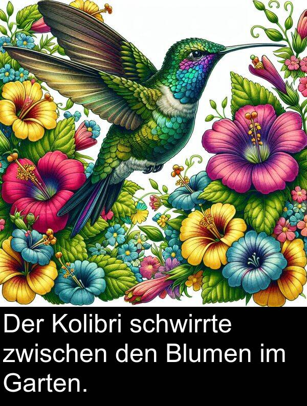 Garten: Der Kolibri schwirrte zwischen den Blumen im Garten.