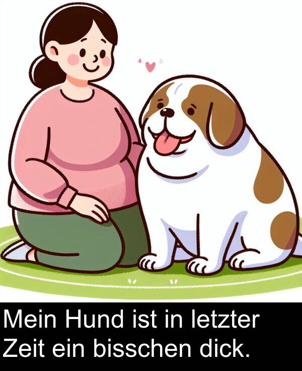 dick: Mein Hund ist in letzter Zeit ein bisschen dick.