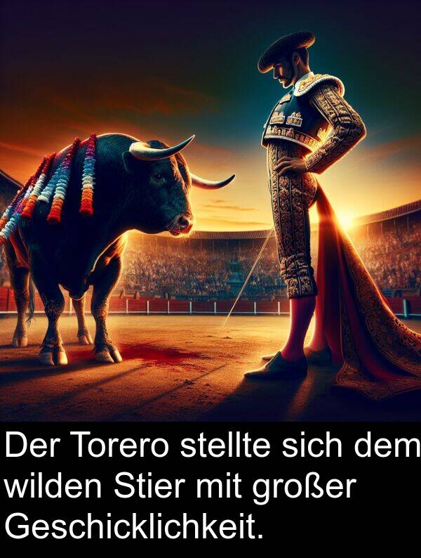 großer: Der Torero stellte sich dem wilden Stier mit großer Geschicklichkeit.