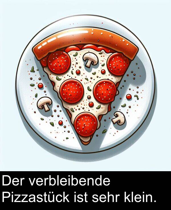 verbleibende: Der verbleibende Pizzastück ist sehr klein.