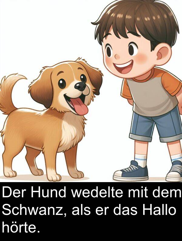 Hallo: Der Hund wedelte mit dem Schwanz, als er das Hallo hörte.