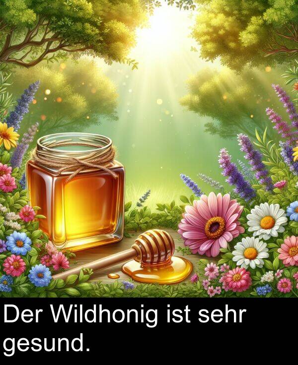 Der: Der Wildhonig ist sehr gesund.