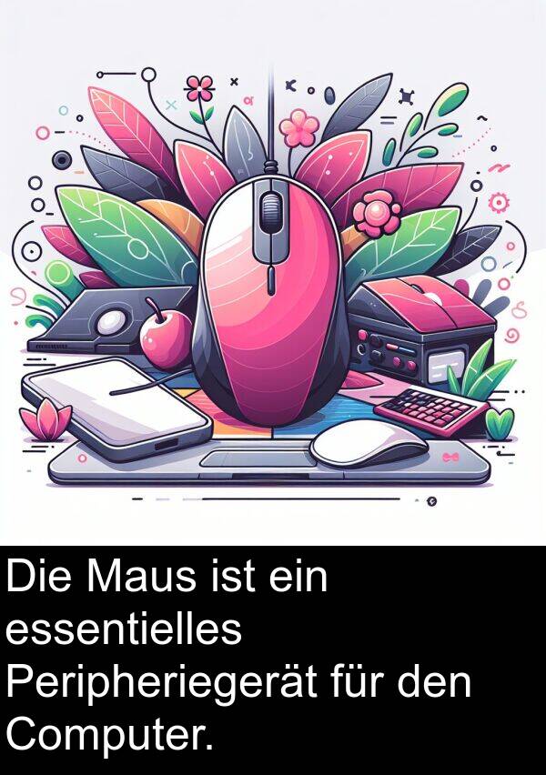 Maus: Die Maus ist ein essentielles Peripheriegerät für den Computer.