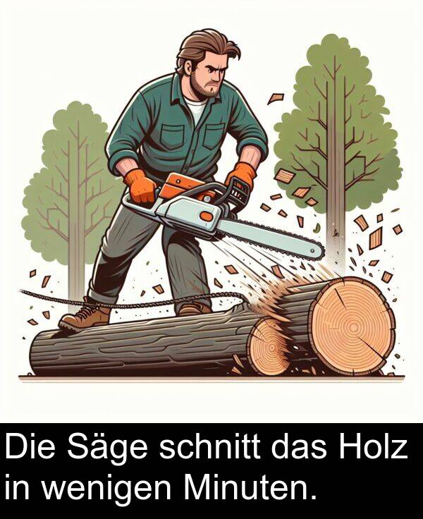 Säge: Die Säge schnitt das Holz in wenigen Minuten.