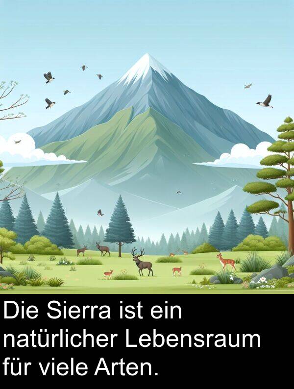 Lebensraum: Die Sierra ist ein natürlicher Lebensraum für viele Arten.