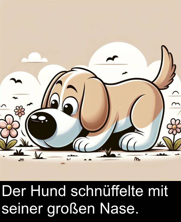 Nase: Der Hund schnüffelte mit seiner großen Nase.