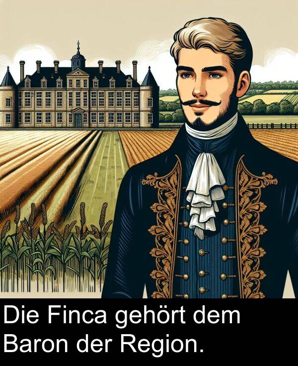 der: Die Finca gehört dem Baron der Region.