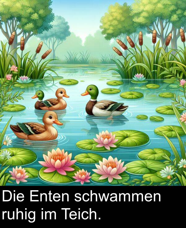 Teich: Die Enten schwammen ruhig im Teich.