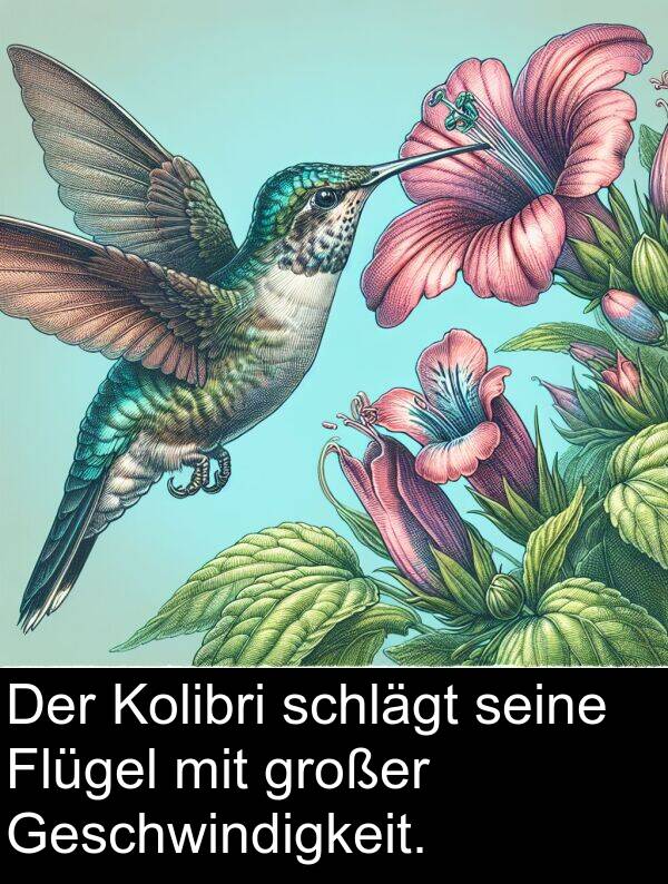 Flügel: Der Kolibri schlägt seine Flügel mit großer Geschwindigkeit.