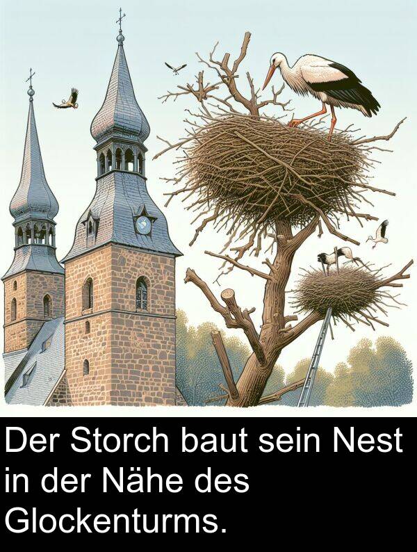 Nest: Der Storch baut sein Nest in der Nähe des Glockenturms.