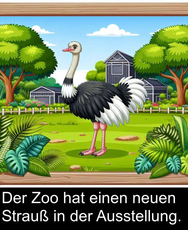 neuen: Der Zoo hat einen neuen Strauß in der Ausstellung.