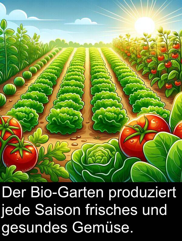 Gemüse: Der Bio-Garten produziert jede Saison frisches und gesundes Gemüse.