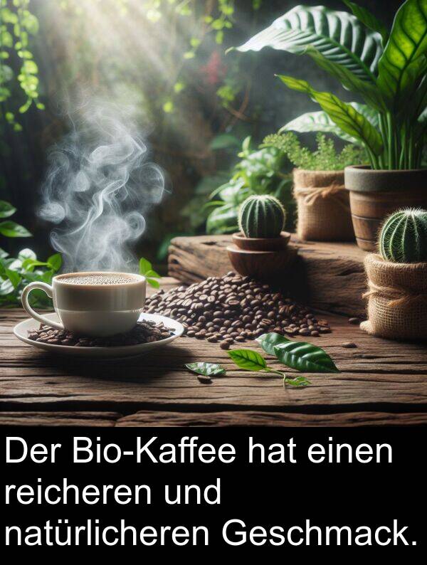 reicheren: Der Bio-Kaffee hat einen reicheren und natürlicheren Geschmack.