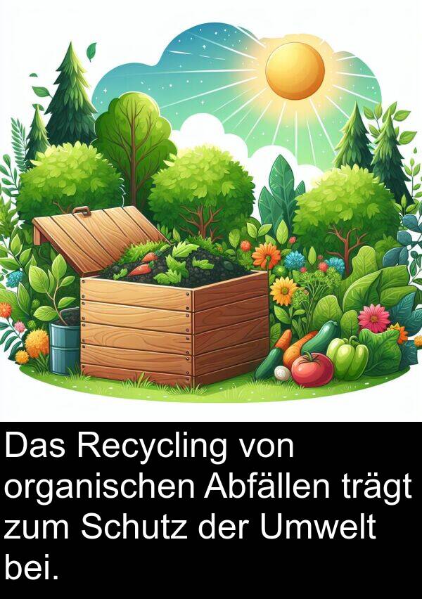 Recycling: Das Recycling von organischen Abfällen trägt zum Schutz der Umwelt bei.