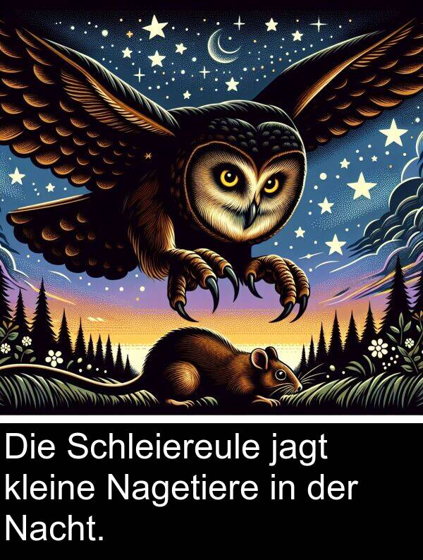 jagt: Die Schleiereule jagt kleine Nagetiere in der Nacht.