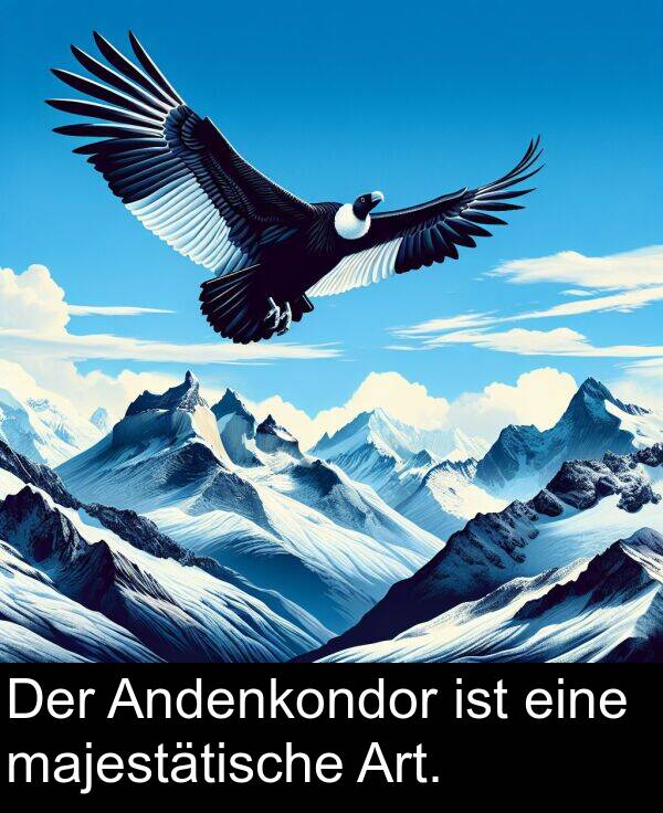 eine: Der Andenkondor ist eine majestätische Art.