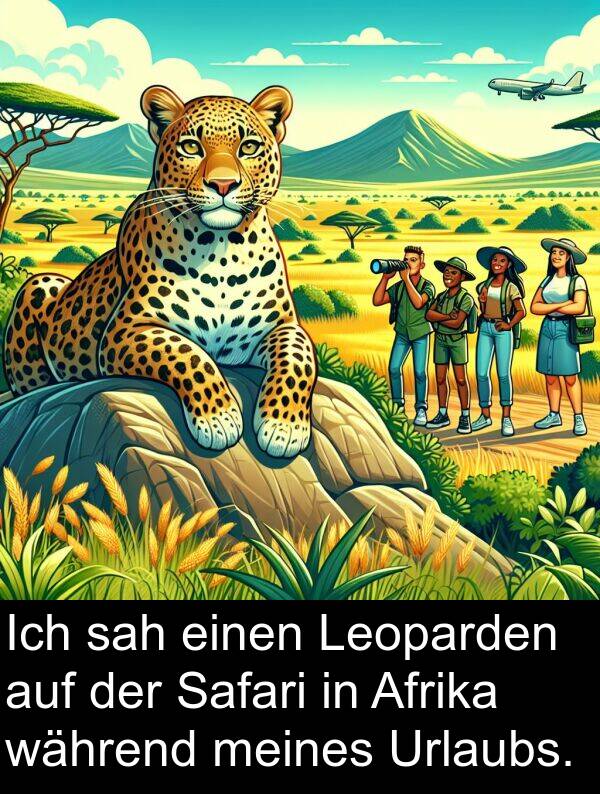 während: Ich sah einen Leoparden auf der Safari in Afrika während meines Urlaubs.