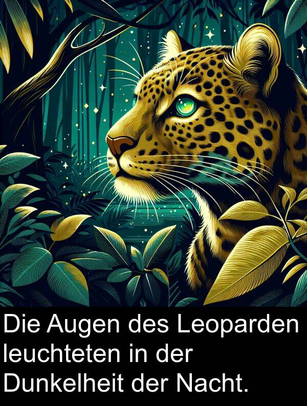 Nacht: Die Augen des Leoparden leuchteten in der Dunkelheit der Nacht.