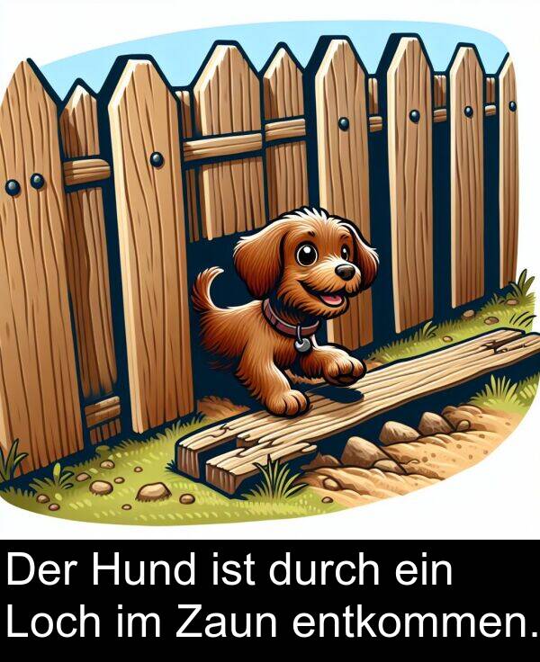 ein: Der Hund ist durch ein Loch im Zaun entkommen.