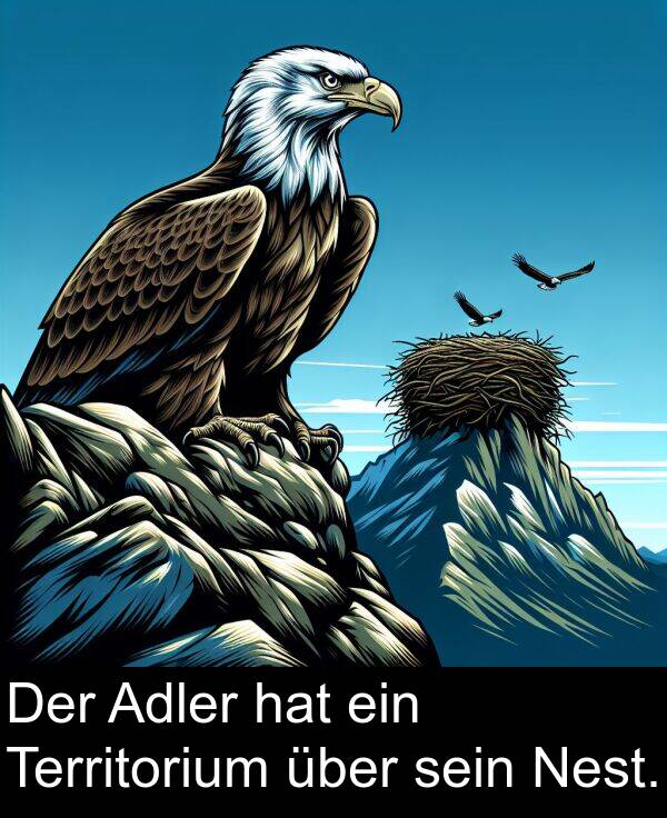 ein: Der Adler hat ein Territorium über sein Nest.