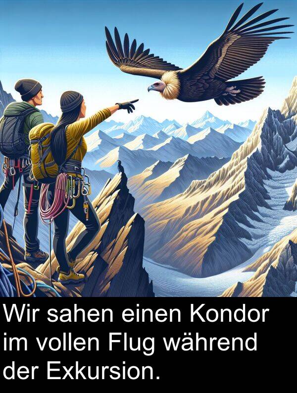 während: Wir sahen einen Kondor im vollen Flug während der Exkursion.