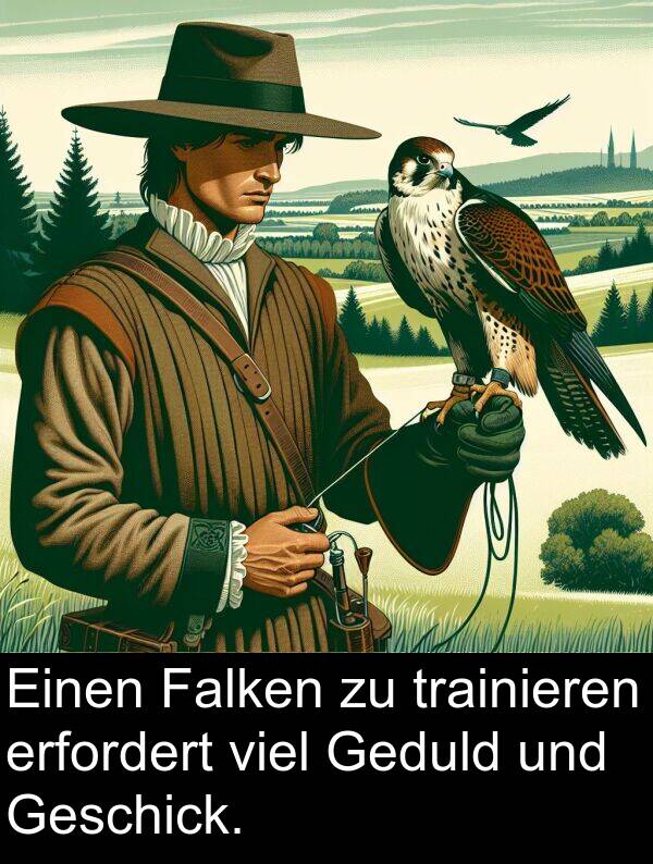 Falken: Einen Falken zu trainieren erfordert viel Geduld und Geschick.