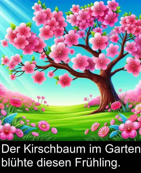 diesen: Der Kirschbaum im Garten blühte diesen Frühling.