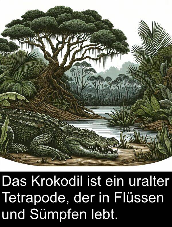 Krokodil: Das Krokodil ist ein uralter Tetrapode, der in Flüssen und Sümpfen lebt.