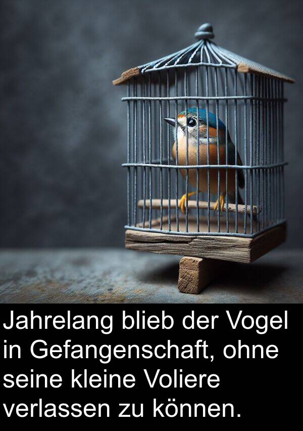 Gefangenschaft: Jahrelang blieb der Vogel in Gefangenschaft, ohne seine kleine Voliere verlassen zu können.