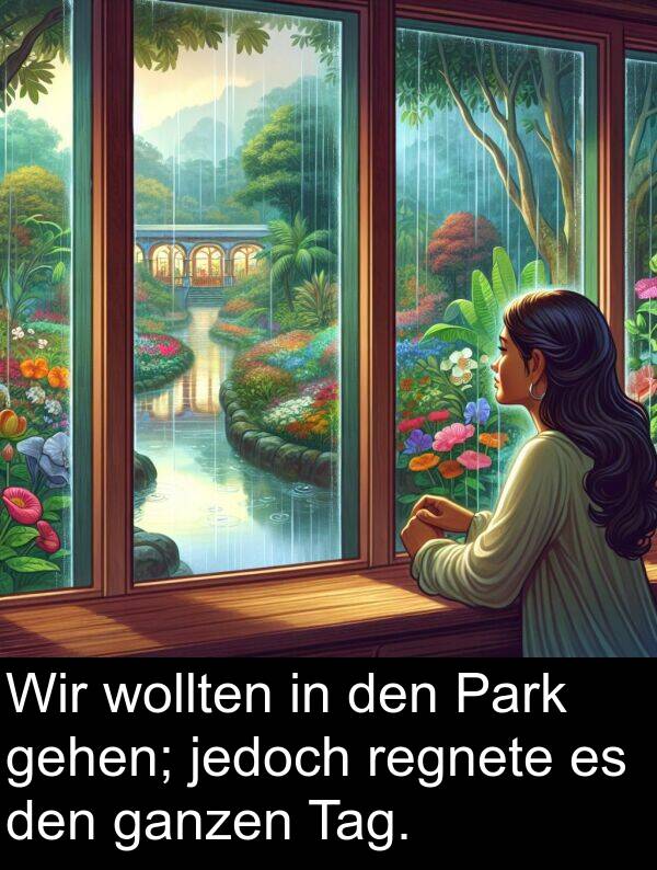 ganzen: Wir wollten in den Park gehen; jedoch regnete es den ganzen Tag.