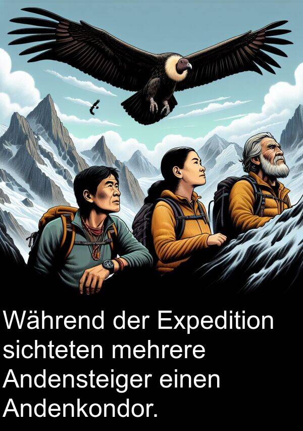 sichteten: Während der Expedition sichteten mehrere Andensteiger einen Andenkondor.