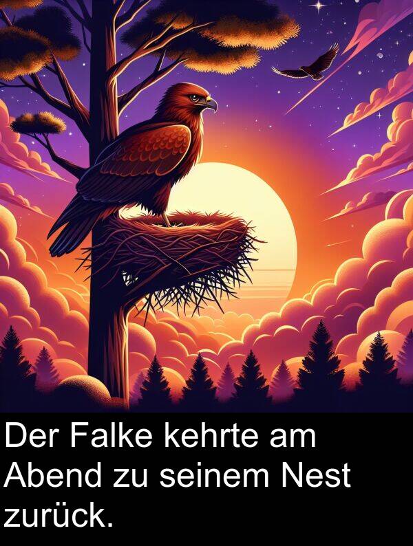 kehrte: Der Falke kehrte am Abend zu seinem Nest zurück.