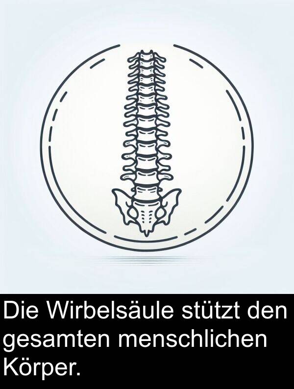Körper: Die Wirbelsäule stützt den gesamten menschlichen Körper.