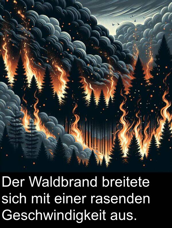 einer: Der Waldbrand breitete sich mit einer rasenden Geschwindigkeit aus.