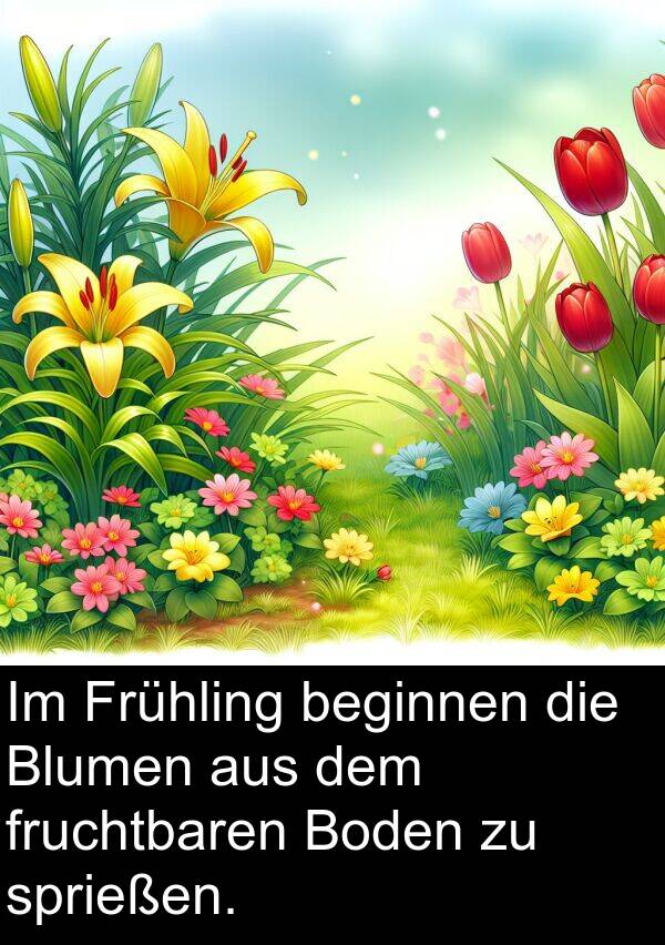 sprießen: Im Frühling beginnen die Blumen aus dem fruchtbaren Boden zu sprießen.