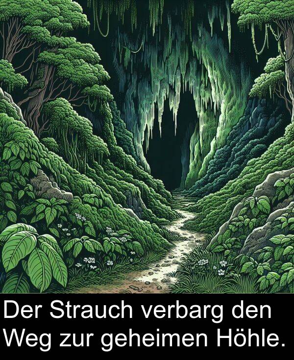 geheimen: Der Strauch verbarg den Weg zur geheimen Höhle.